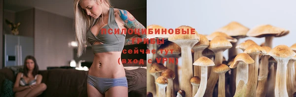 соль ск Медвежьегорск